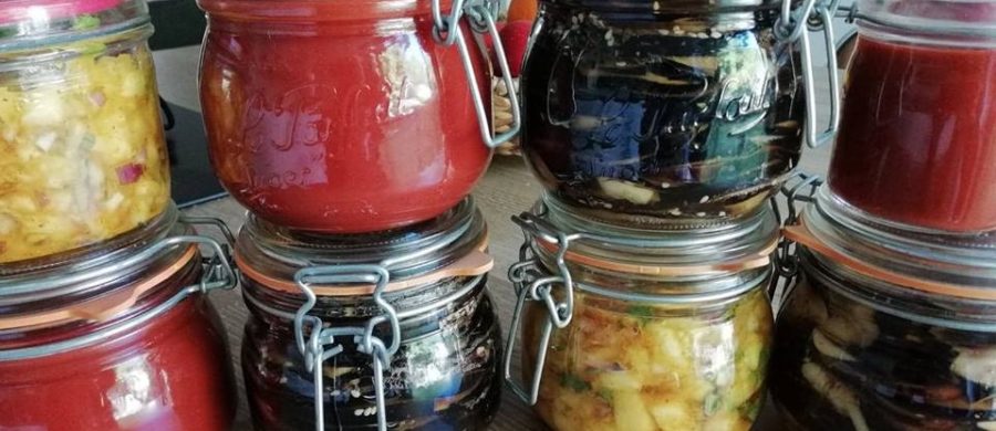 lacto-fermentation lacto-fermentation