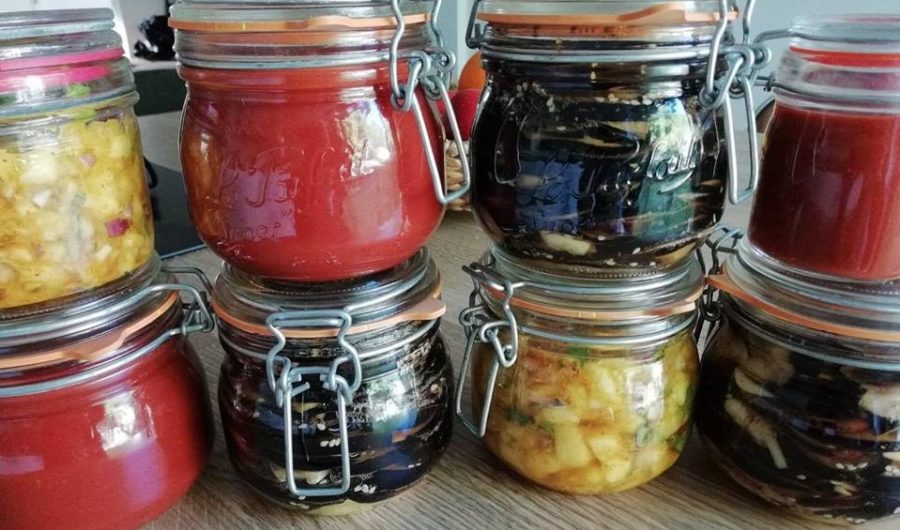 lacto-fermentation lacto-fermentation