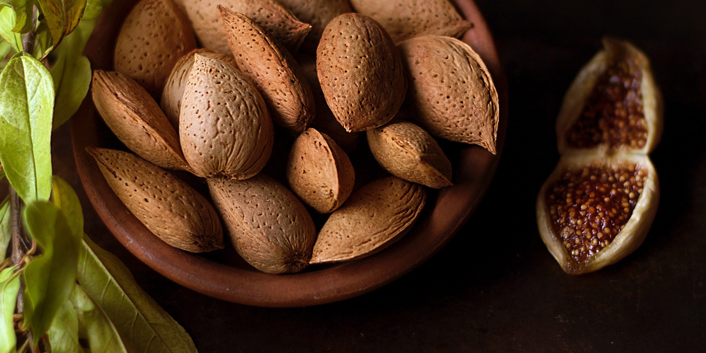 roberta-sorge-143084