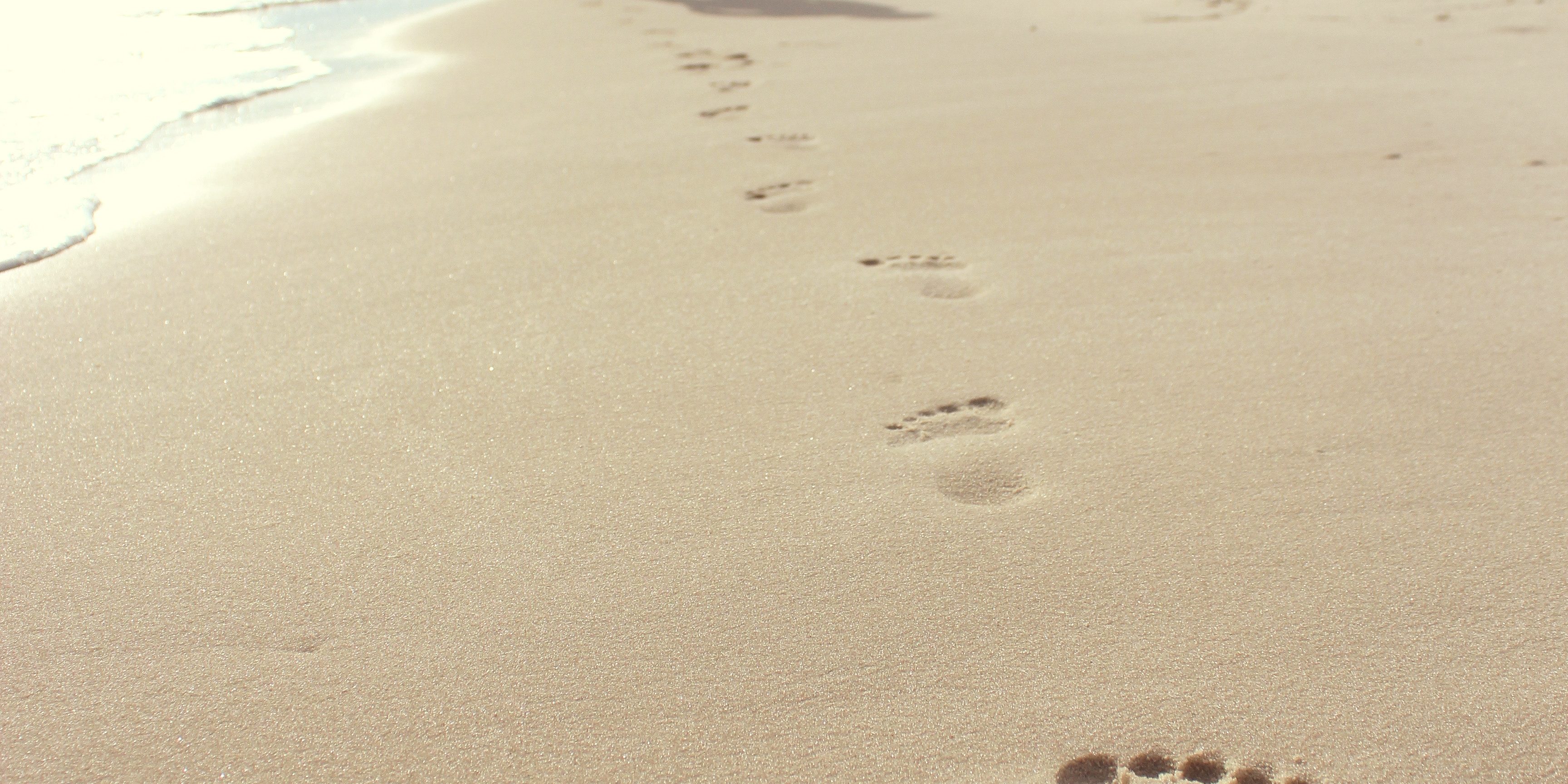 zack-minor-15099 (1)