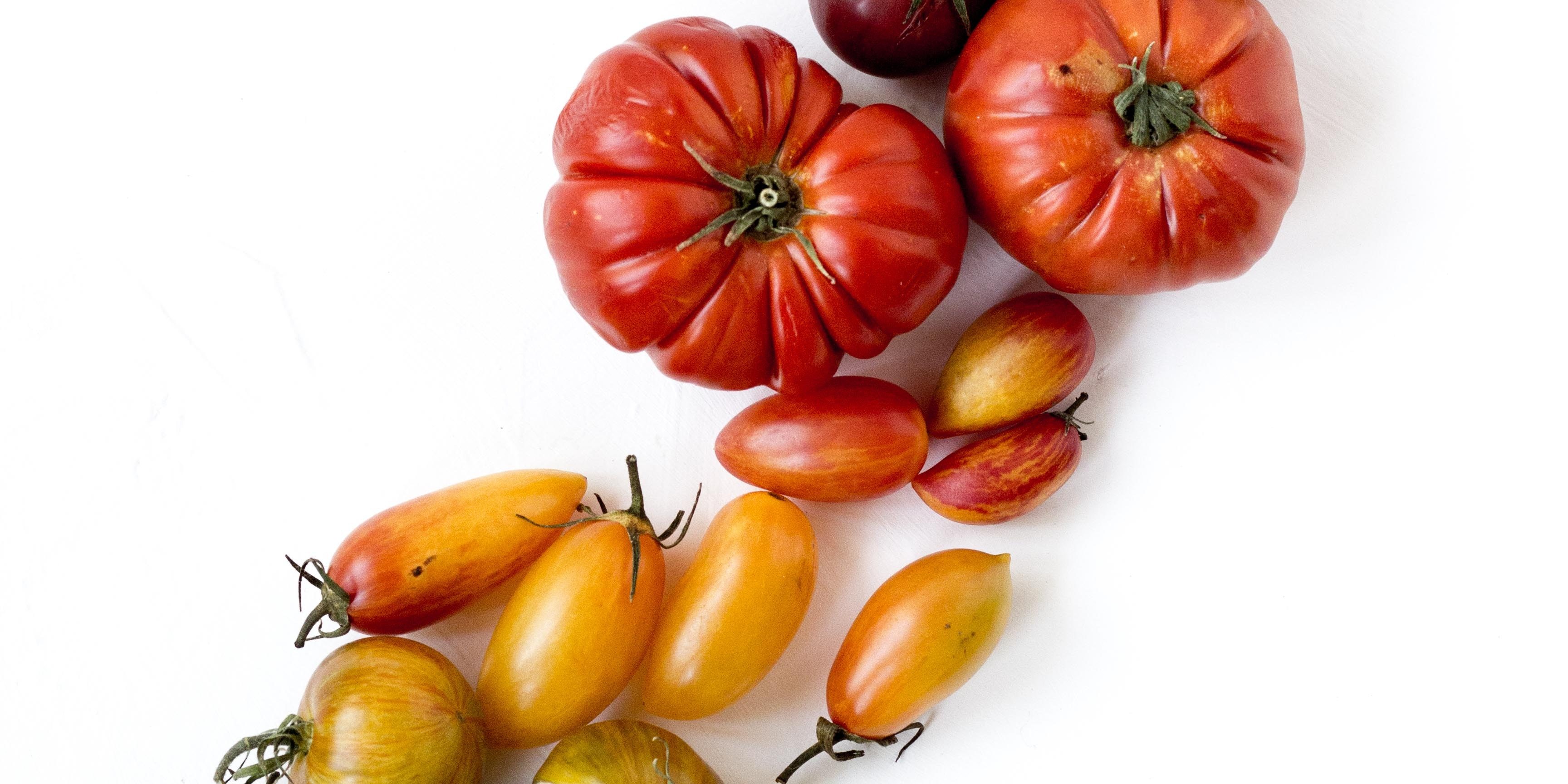 rezel-apacionado-362232-unsplash